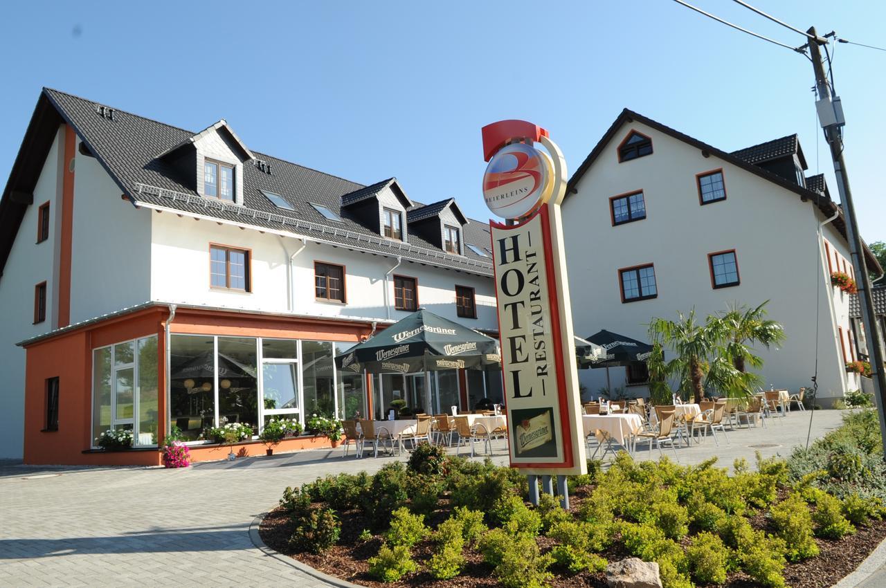 Beierleins Hotel & Catering Gmbh Reichenbach  Εξωτερικό φωτογραφία